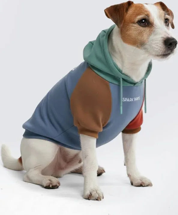 Sudadera Multicolor con capucha